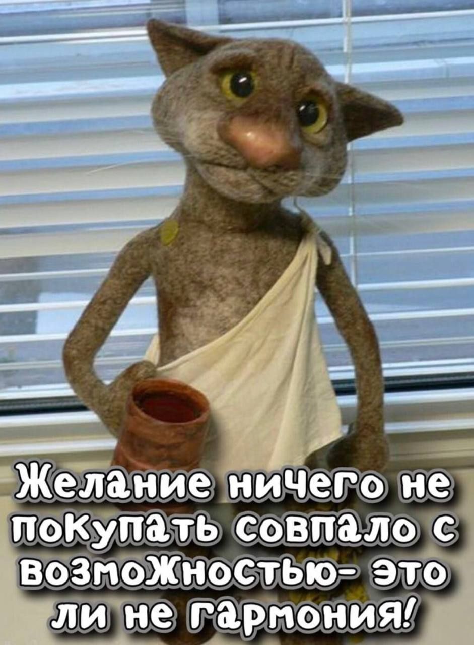 Желание ничего не покупать совпало с возможностью — это ли не гармония!