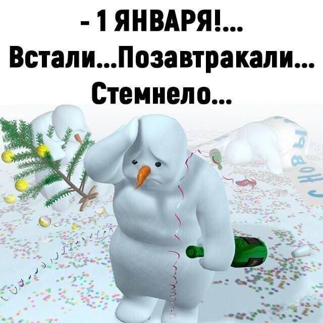 -1 января!... Встали... Позавтракали... Стемнело...