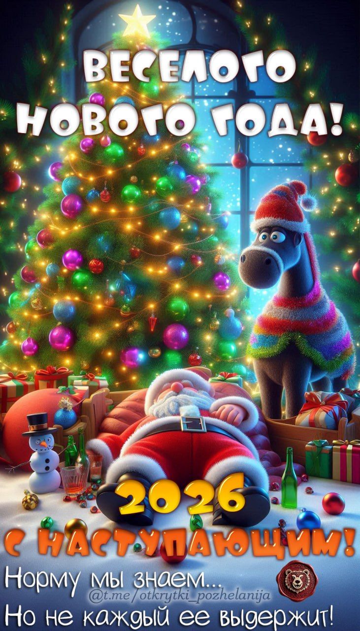 Весёлого Нового Года! 2026 С наступающим! Норму мы знаем... Но не каждый её выдержит!
