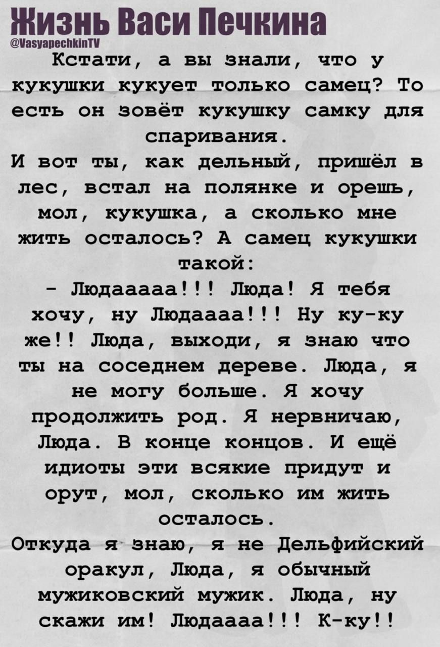 Жизнь Васи Печкина. Кстати, а вы знали, что у кукушки куккуна самец зовёт самку для спаривания. И вот ты, как дельный, пришёл в лес, встал на полянке и орешь: кукушка, а сколько мне жить осталось? А самец кукушки такой: - Людааааа! Люда! Я тебя хочу, ну Людааа! Люда, выходи...