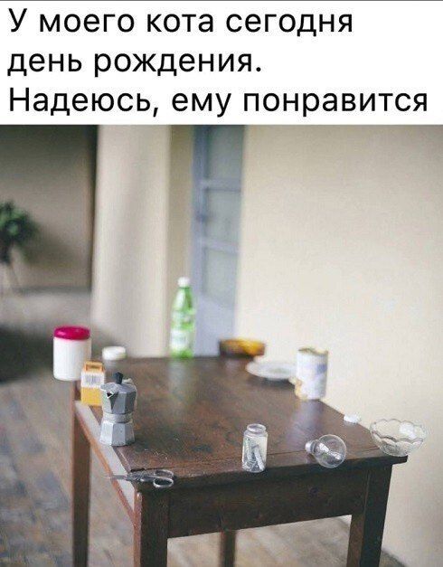 У моего кота сегодня день рождения. Надеюсь, ему понравится
