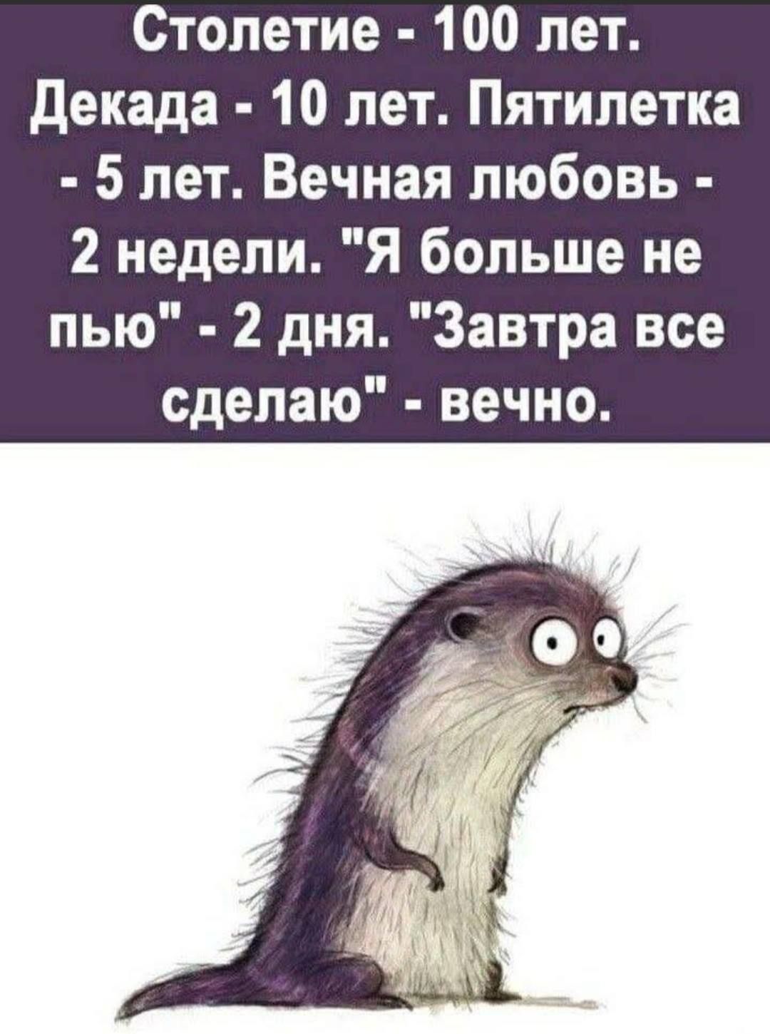 Столетие - 100 лет. Декада - 10 лет. Пятилетка - 5 лет. Вечная любовь - 2 недели. 