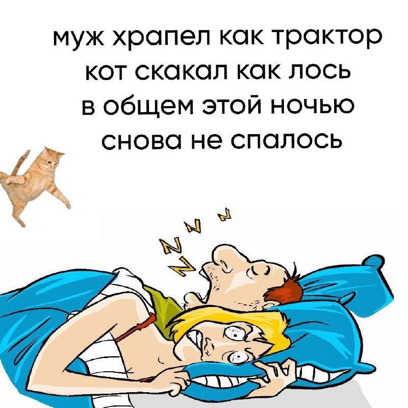 МУЖ храпел как трактор кот скакал как лось в общем этой ночью снова не спалось