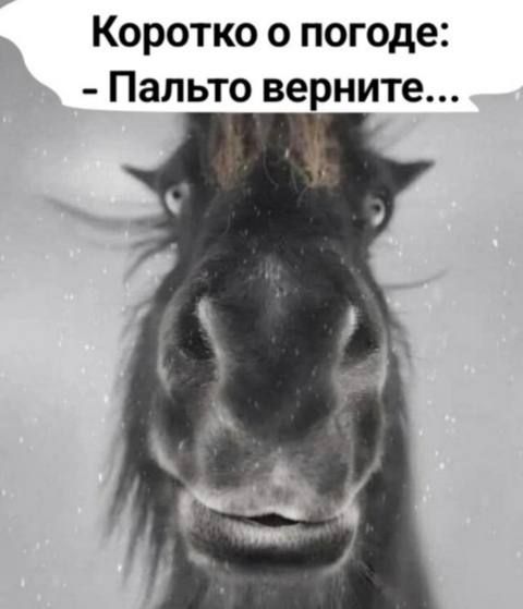 Коротко о погоде: - Палто верните...