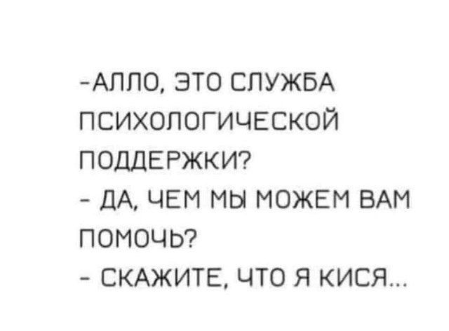 -АЛЛО, ЭТО СЛУЖБА ПСИХОЛОГИЧЕСКОЙ ПОДДЕРЖКИ?
- ДА, ЧЕМ МЫ МОЖЕМ ВАМ ПОМОЧЬ?
- СКАЖИТЕ, ЧТО Я КИСЯ...