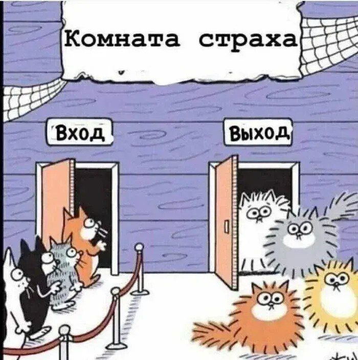 Комната страха
Вход
Выход