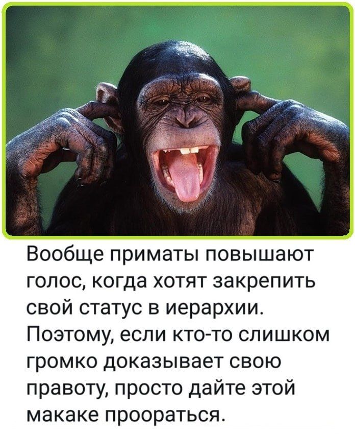 Вообще приматы повышают голос, когда хотят закрепить свой статус в иерархии. Поэтому, если кому-то слишком громко доказывает свою правоту, просто дайте этой макаке проораться.