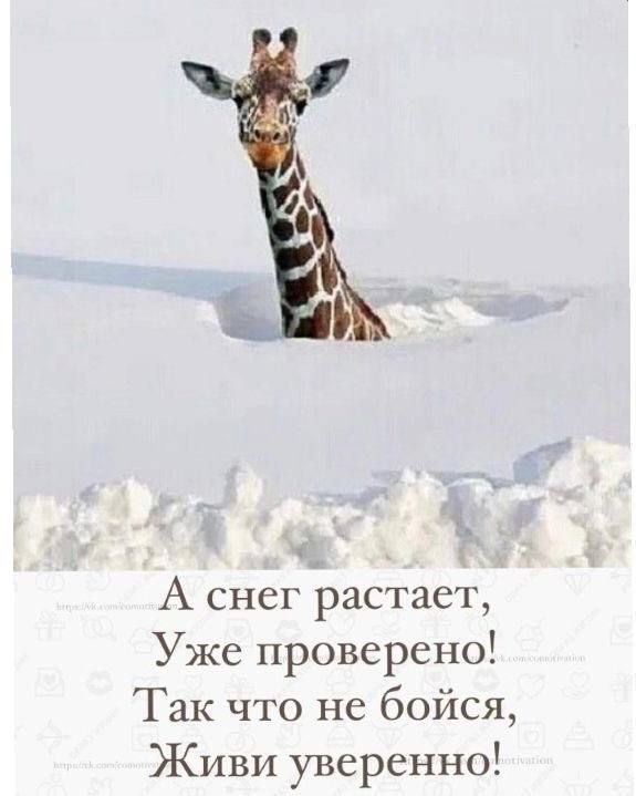 А снег тает, Уже проверено! Так что не бойся, Живи уверенно!