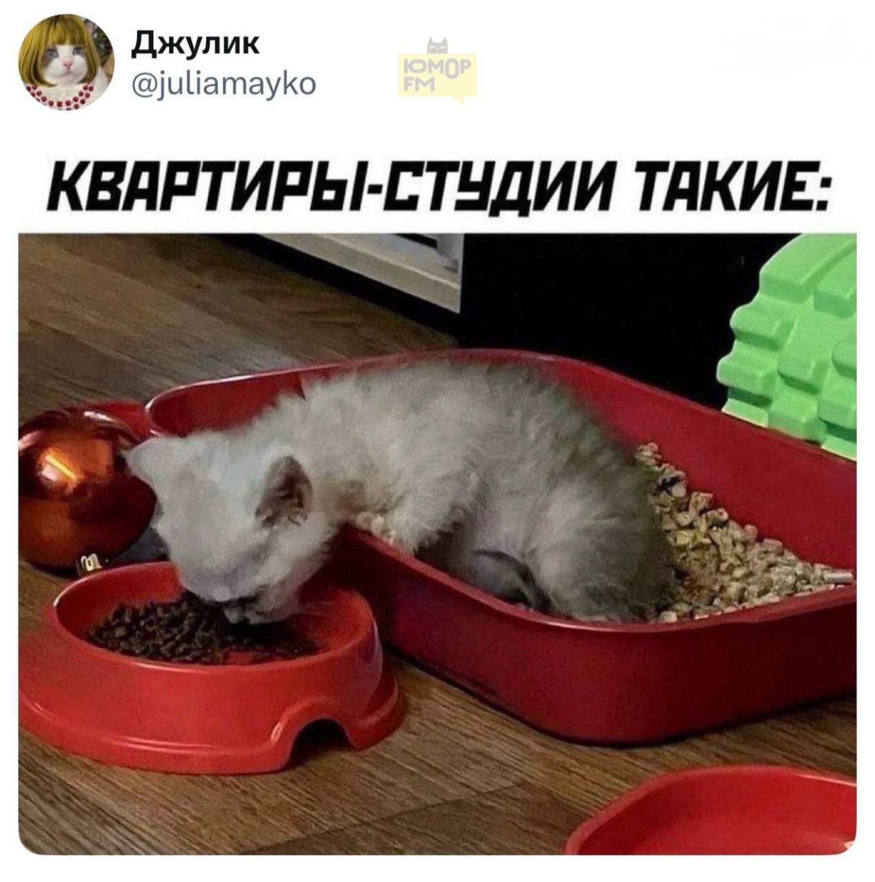 КВАРТИРЫ-СТУДИИ ТАКИЕ: