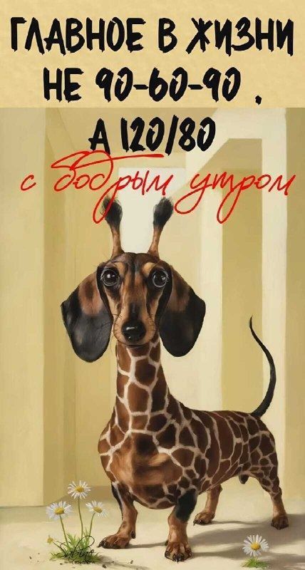 ГЛАВНОЕ В ЖИЗНИ НЕ 90-60-90, А 120/80 с бодрым утром