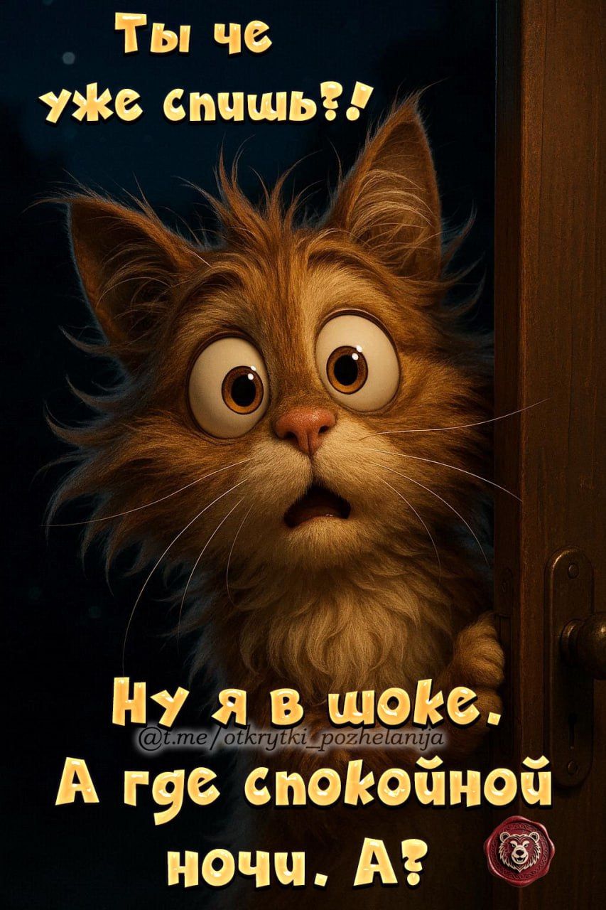 Ты че уже спишь?! Ну я в шоке. А где спокойной ночи. А?