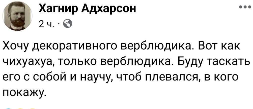Хочу декоративного верблюдика. Вот как чихуиха, только верблюдика. Буду таскать его с собой и научу, чтоб плевался, в кого покажу.