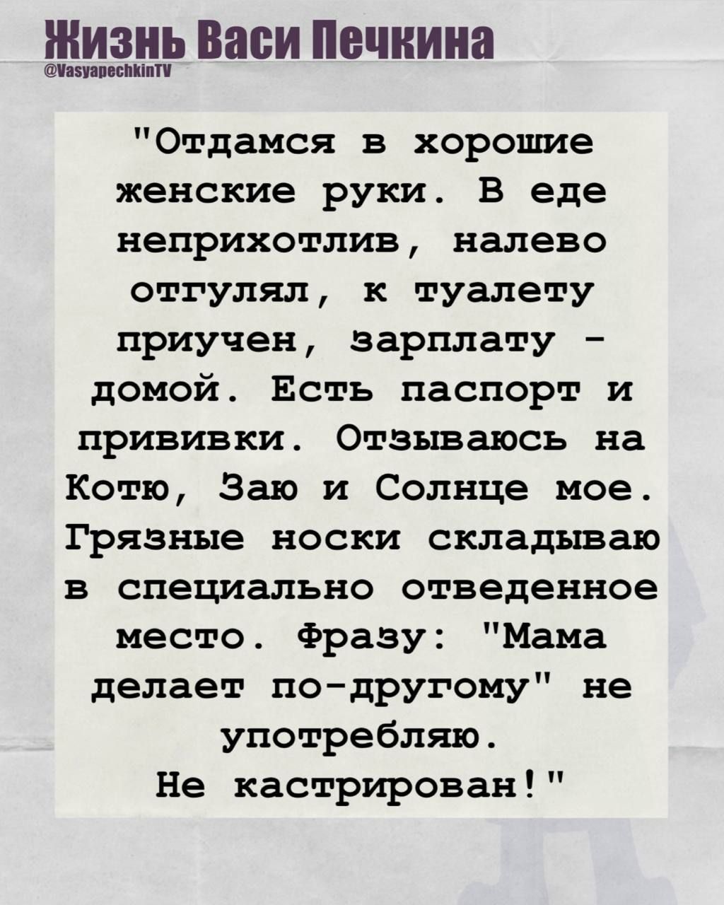 Отдамся в хорошие женские руки. В еде неприхотлив, налево отгульял, к туалету приучен, зарплату — домой. Есть паспорт и прививки. Отзываюсь на Котю, Зою и Солнце мое. Грязные носки складываю в специально отведенное место. Фразу: «Мама делает по-другому» не употребляю. Не кастрирован!