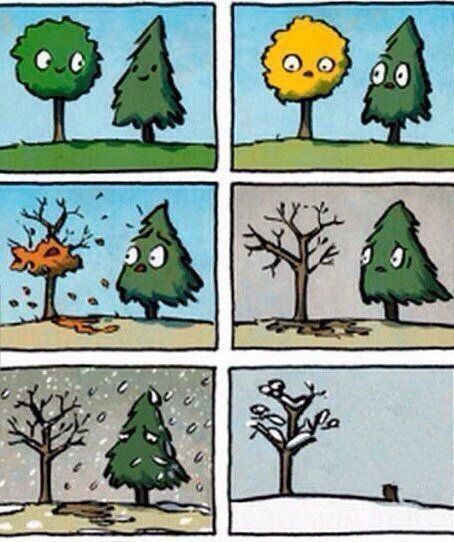 Комикс из шести панелей с деревьями-героями, меняющимися по сезонам и погоде.