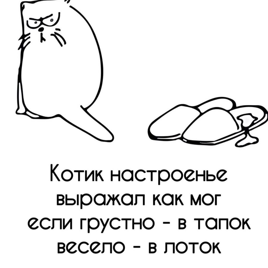 Котик настроенье выражал как мог если грустно - в тапок веселло - в лоток
