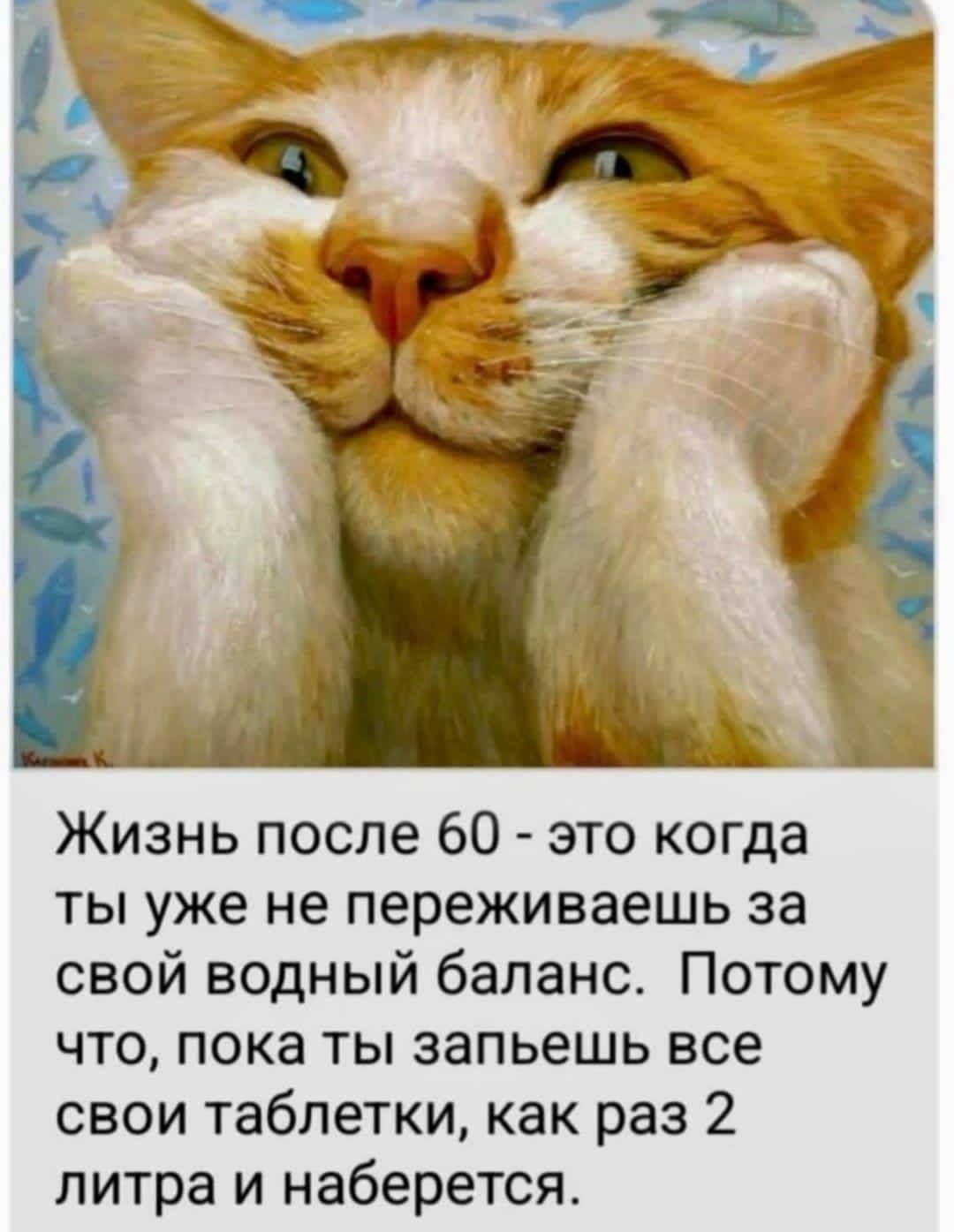 Жизнь после 60 - это когда ты уже не переживаешь за свой водный баланс. Потому что, пока ты запьешь все свои таблетки, как раз 2 литра и наберется.