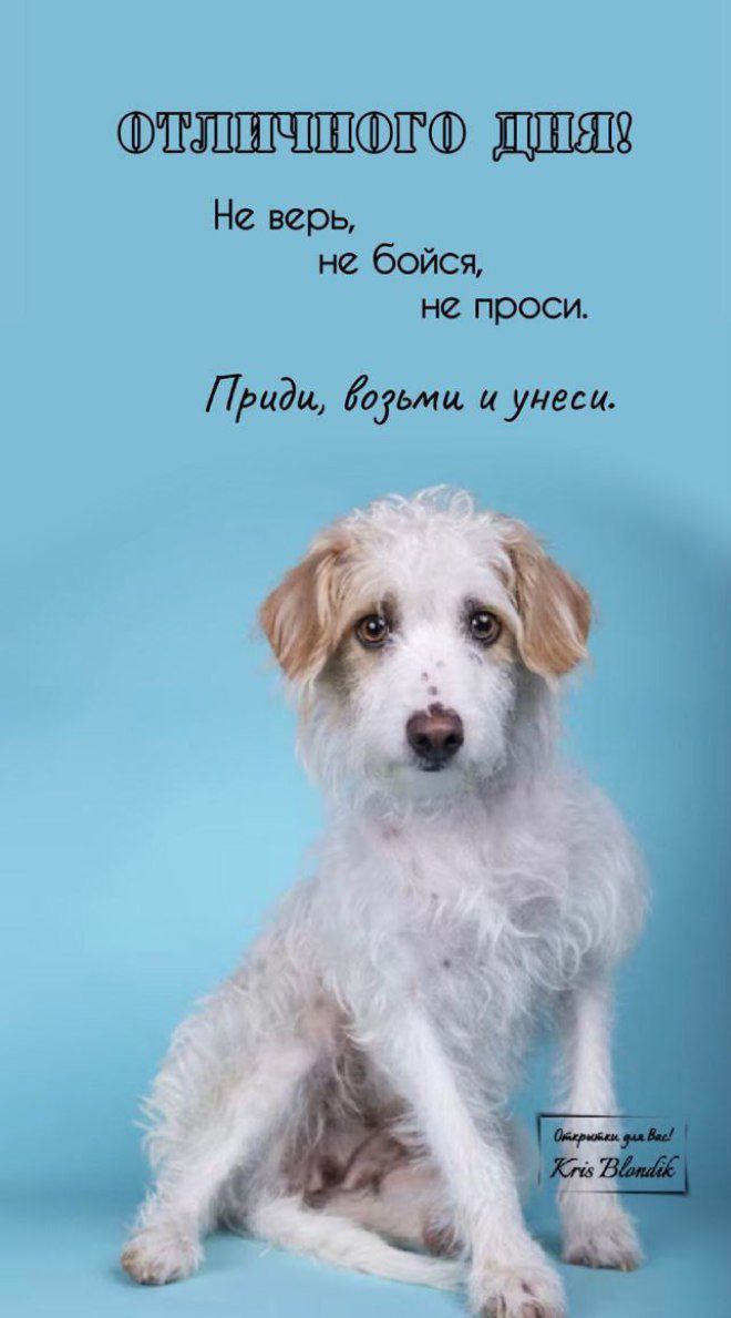 ОТЛИЧНОГО ДНЯ!
Не верь, не бойся, не проси.
Приди, возьми и унеси.