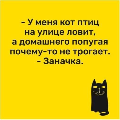 - У меня кот птиц на улице ловит, а домашнего попугая почему-то не трогает. - Заначка.