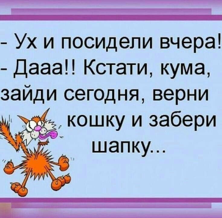 - Ух и посидели вчера! - Дааа!! Кстати, кума, зайди сегодня, верни кошку и забери шапку...