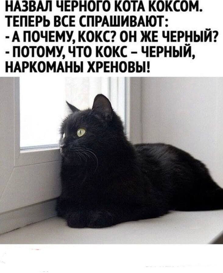 НАЗВАЛ ЧЕРНОГО КОТА КОКОССОМ. ТЕПЕРЬ ВСЕ СПРАШИВАЮТ: - А ПОЧЕМУ, КОКОСС? ОН ЖЕ ЧЕРНЫЙ? - ПОТОМУ, ЧТО КОКОС – ЧЕРНЫЙ, НАРКОМАНЫ ХРЕНОВЫ!