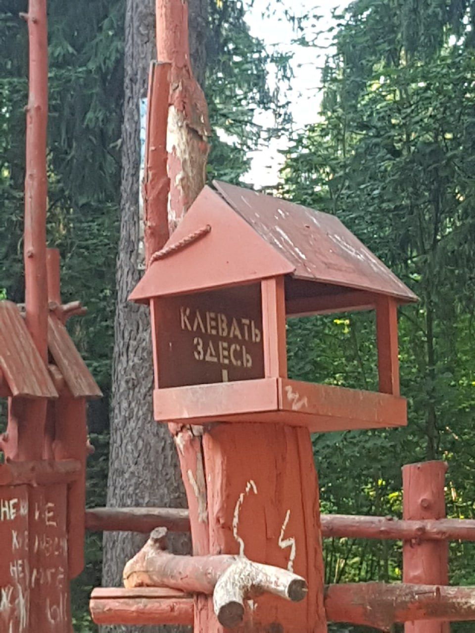 КЛЕВАТЬ ЗДЕСЬ