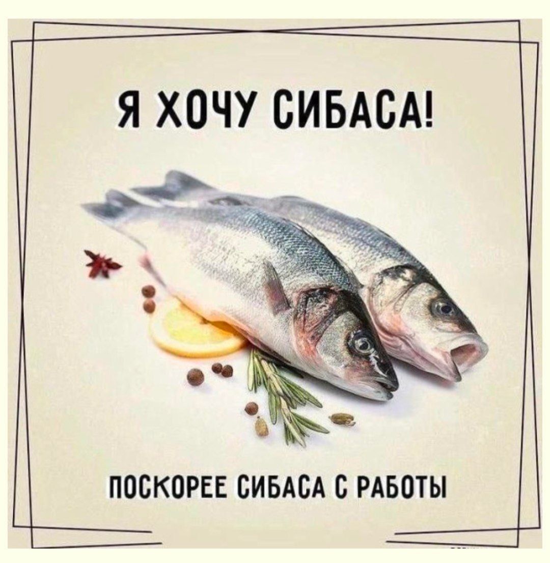 Я ХОЧУ СИБАСА! ПОСКОРЕЕ СИБАСА С РАБОТЫ
