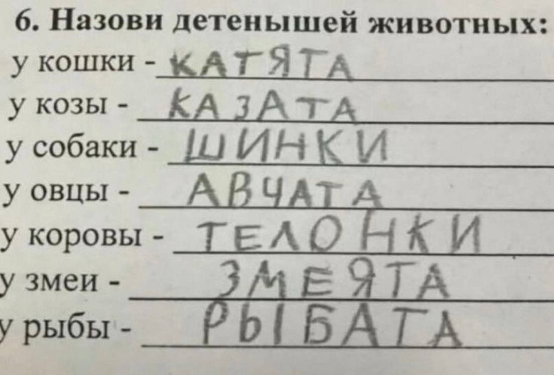 6. Назови детенышей животных: у кошки - КАТЯТА; у козы - КАЗАТА; у собаки - ШИНКИ; у овцы - АВЧАТА; у коровы - ТЕЛОНКИ; у змеи - ЗМЕЯТА; у рыбы - РЫБАТА