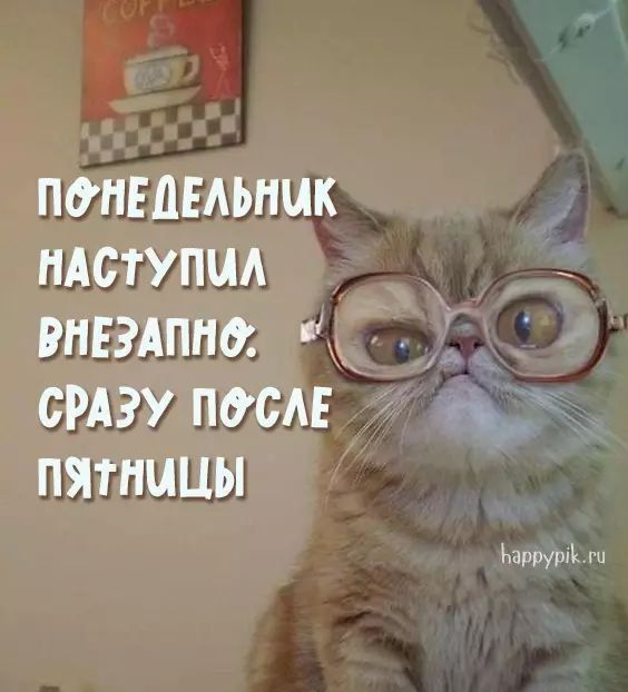 ПОНЕДЕЛЬНИК НАСТУПИЛ ВНЕЗАПНО. СРАЗУ ПОСЛЕ ПЯТНИЦЫ
