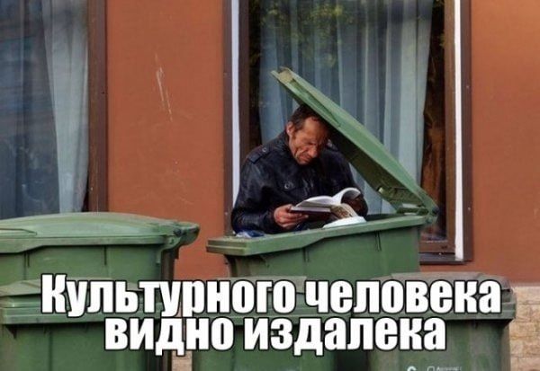 Культурного человека видно издалека