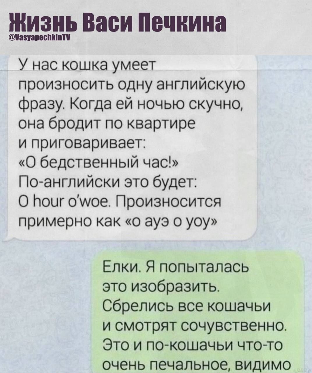 У нас кошка умеет произносить одну английскую фразу. Когда ей ночью скучно, она бродит по квартире и приговаривает: «О бедственный час!» По-английски это будет: O hour o'woe. Произносится примерно как «о ау з оу»
Елки. Я попыталась это изобразить. Собрались все кошачьи и смотрят сочувственно. Это и по-кошачьи что-то очень печальное, видимо