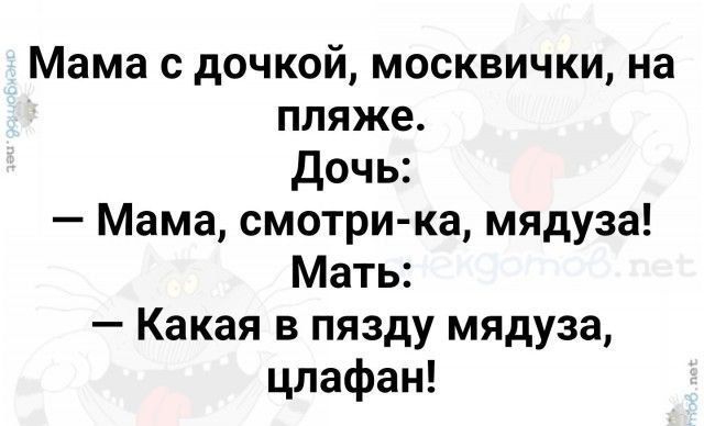 Мама с дочкой, москвички, на пляже. Дочь: — Мама, смотри-ка, мядза! Мать: — Какая в пядзу мядзуza, цлафан!