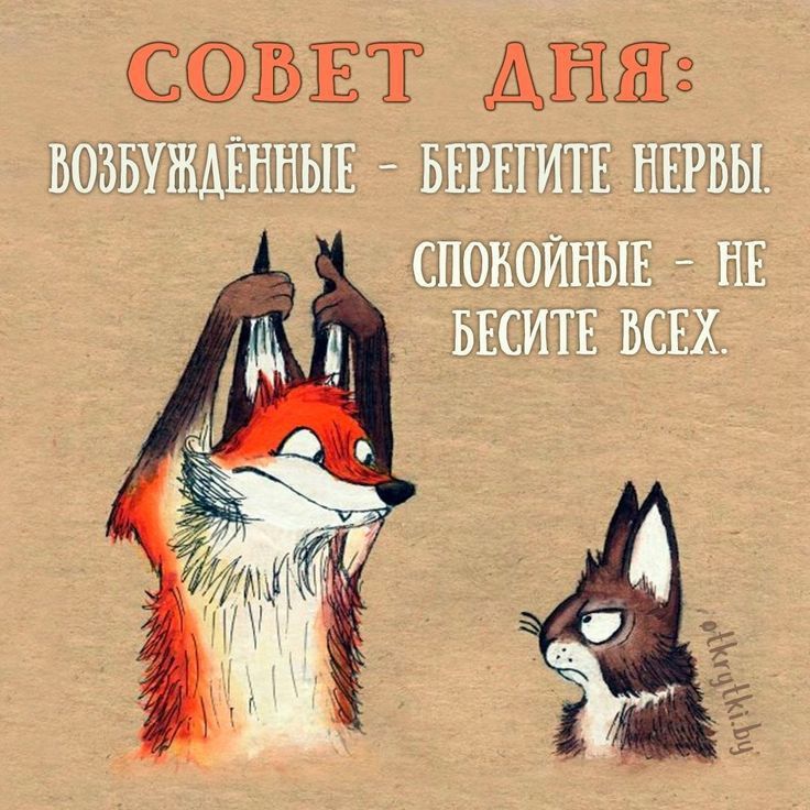 СОВЕТ ДНЯ: ВОЗБУЖДЁННЫЕ - БЕРЕГИТЕ НЕРВЫ. СПОКОЙНЫЕ - НЕ БЕСИТЕ ВСЕХ.