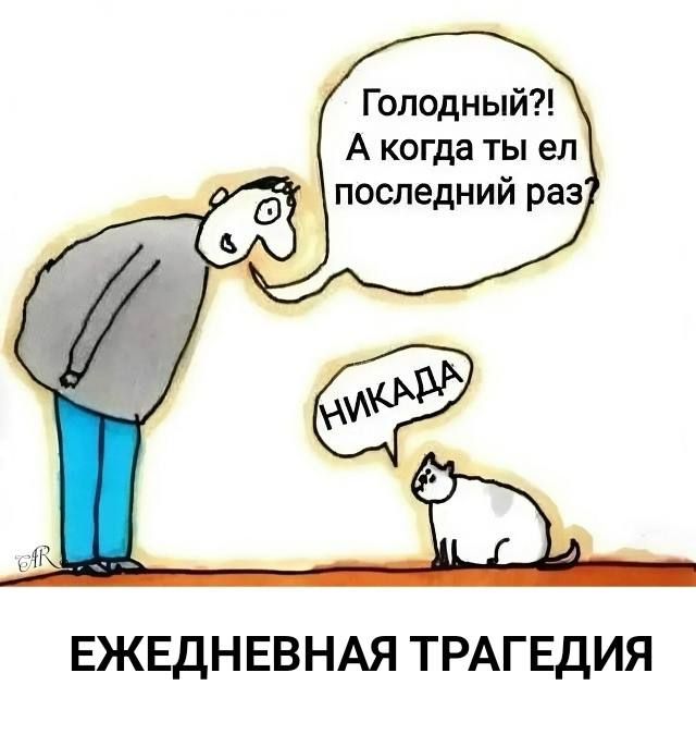 Голодный?! А когда ты ел последний раз? НИ+КАДА
ЕЖЕДНЕВНАЯ ТРАГЕДИЯ