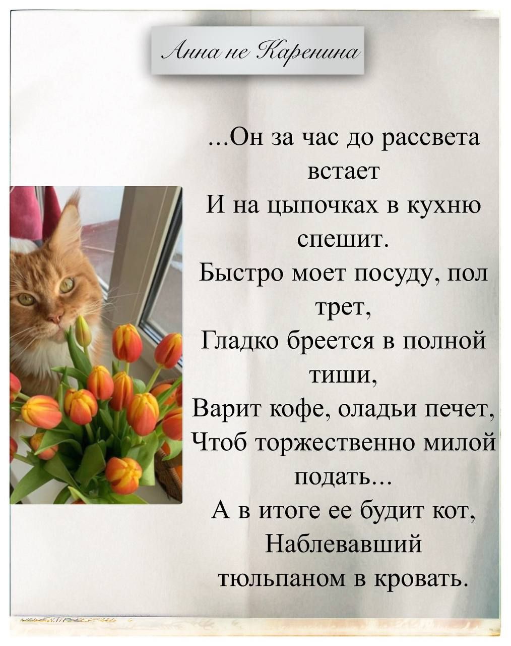 Анна не Каренина

...Он за час до рассвета встает
И на цыпочках в кухню спешит.
Быстро моет посуду, пол трет,
Гладко бреется в полной тиши,
Варит кофе, олады печет,
Чтоб торжественно милой подать...
А в итоге ее будит кот,
Наблевалший тюльпаном в кровать.