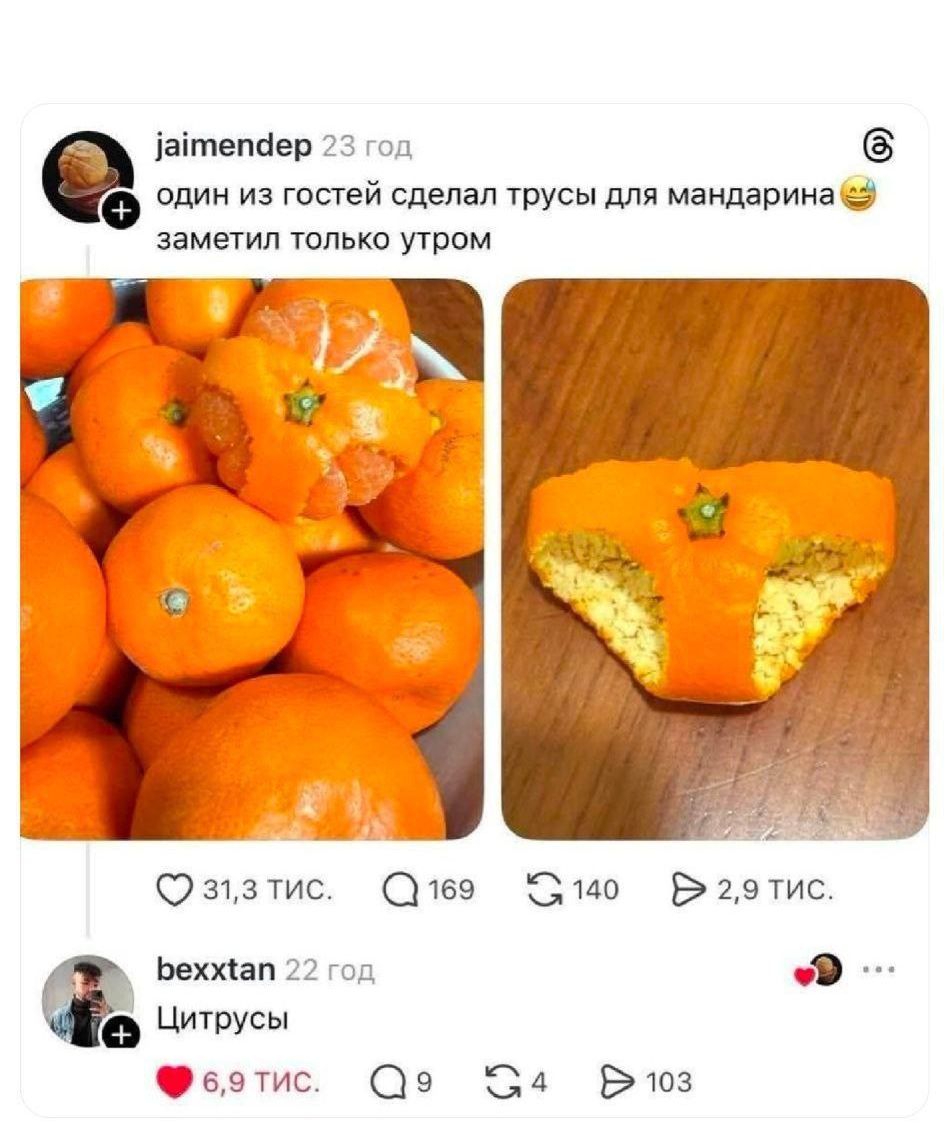 один из гостей сделал трусы для мандарина заметил только утром