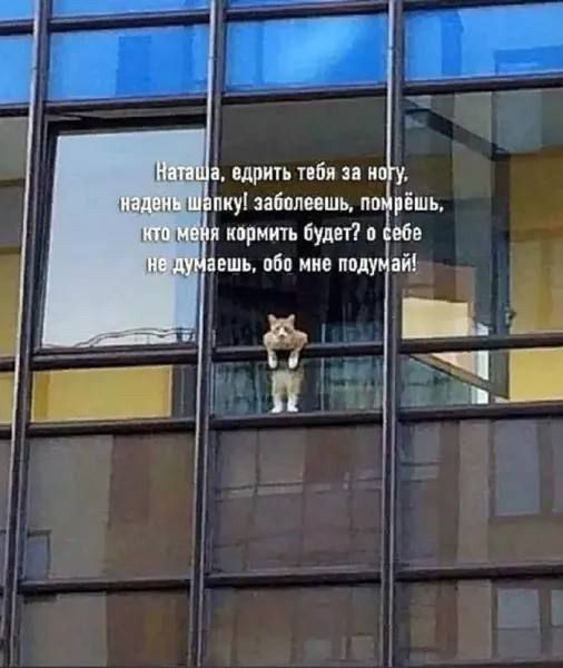 Наташа, едрит тебя за ногу, надень шапку заболеешь, помрёшь, кто меня кормит будет? о себе не думай! обo мне подумай!