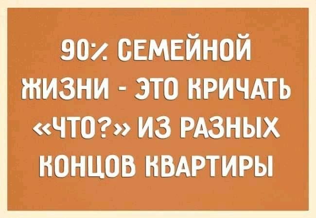 90% СЕМЕЙНОЙ ЖИЗНИ - ЭТО КРИЧАТЬ «ЧТО?» ИЗ РАЗНЫХ КОНЦОВ КВАРТИРЫ