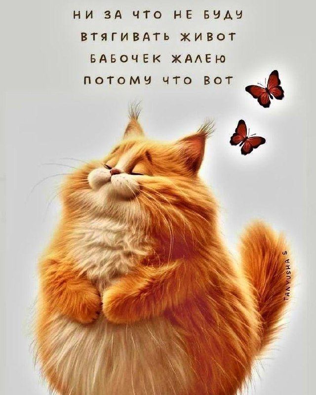 НИ ЗА ЧТО НЕ БУДУ ВТЯГИВАТЬ ЖИВОТ БАБОЧЕК ЖАЛЕЮ ПОТОМУ ЧТО ВОТ