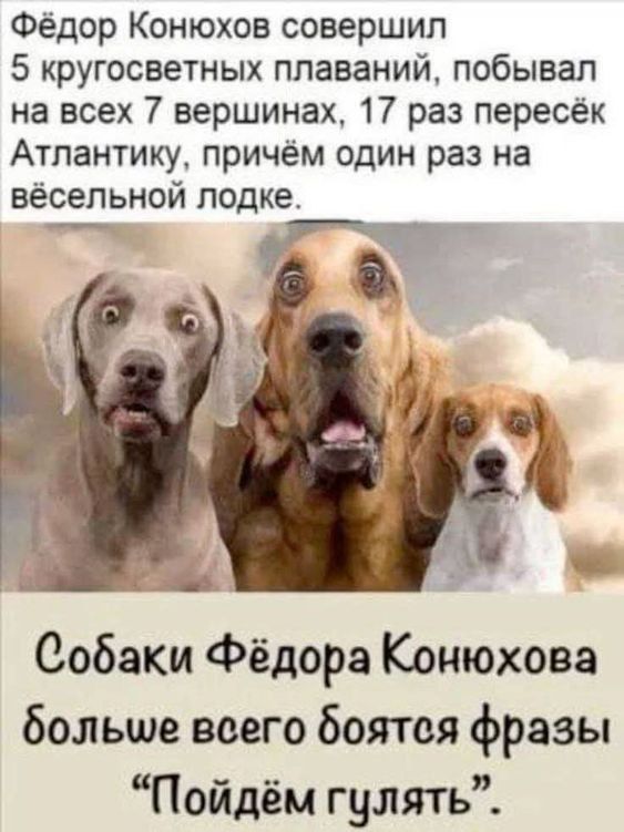 Фёдор Конюхов совершил 5 кругосветных плаваний, побывал на всех 7 вершинах, 17 раз пересёк Атлантику, причём один раз на вёсельной лодке. Собаки Фёдора Конюхова больше всего боятся фразы 