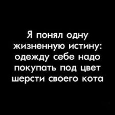 Я понял одну жизненную истину: одежду себе надо покупать под цвет шерсти своего кота