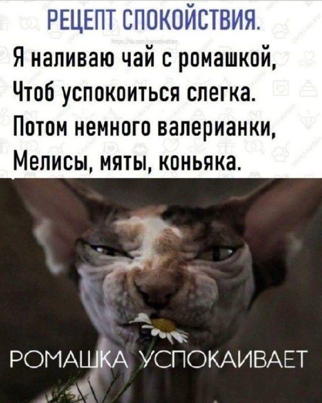 РЕЦЕПТ СПОКОЙСТВИЯ. Я наливаю чай с ромашкой, Чтоб успокоиться слегка. Потом немного валерьянки, Мелисы, мяты, коньяка. РОМАШКА УСПОКАИВАЕТ