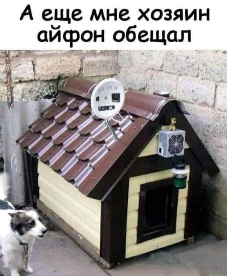 А еще мне хозяин айфон обещал