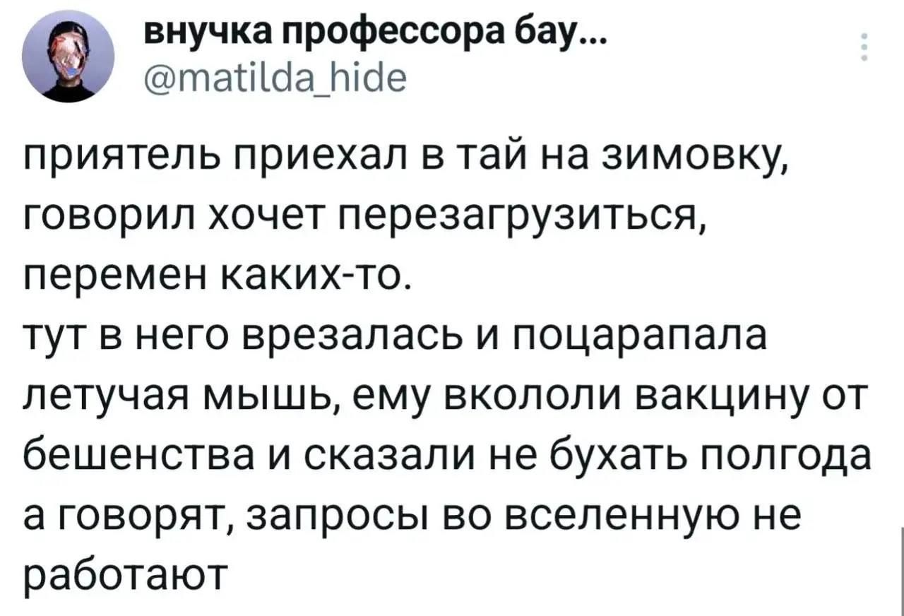 внучка профессора бау...
@matilda_hide
приятель приехал в тай на зимовку,
говорил хочет перезагрузиться,
перемен каких-то.
тут в него врезалась и поцарапала
летучая мышь, ему вкололи вакцину от
бешенства и сказали не бухать полгода
а говорят, запросы во вселенную не
работают
