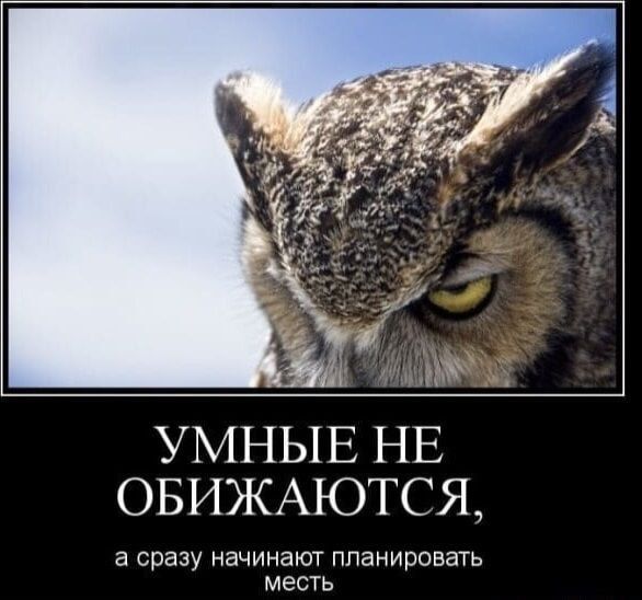 УМНЫЕ НЕ ОБИЖАЮТСЯ, а сразу начинают планировать месть