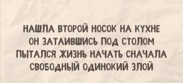 НАШЛА ВТОРОЙ НОСОК НА КУХНЕ ОН ЗАТАИВШИСЬ ПОД СТОЛОМ ПЫТАЛСЯ ЖИЗНЬ НАЧАТЬ СНАЧАЛА СВОБОДНЫЙ ОДИНОКИЙ ЗЛОЙ