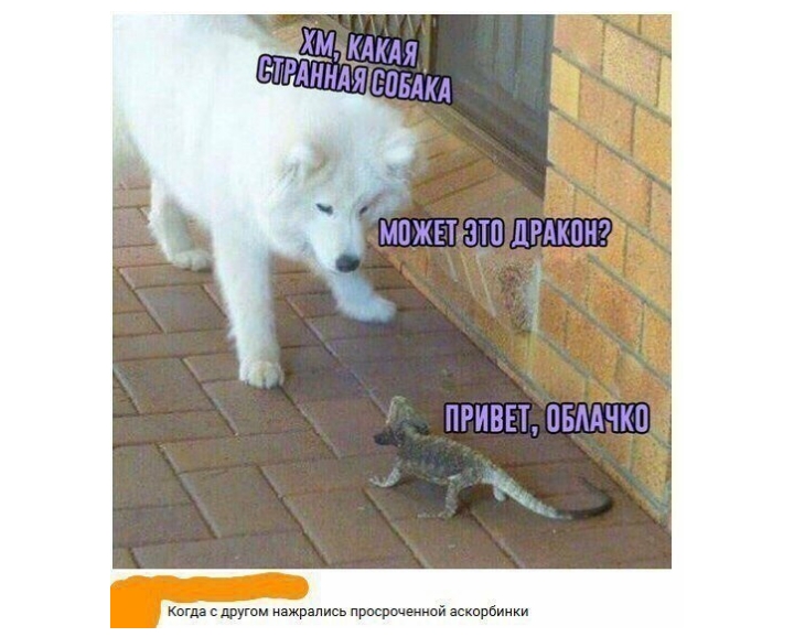 кагда с шути ажрзпись просроченной аскорбиики