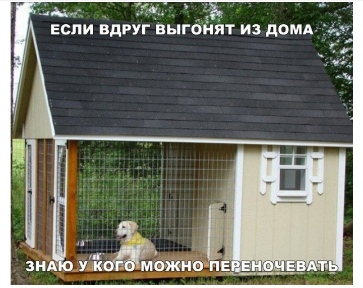 ЗНАЮ У КОГ МОЖНО ПЕ