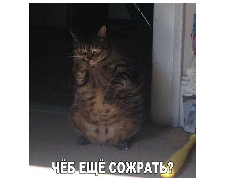 ЧЁБ ЕЩЁ СОЖРАТЬ