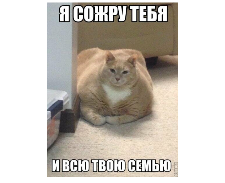 Ш ВВЖРУ ТЕБЯ