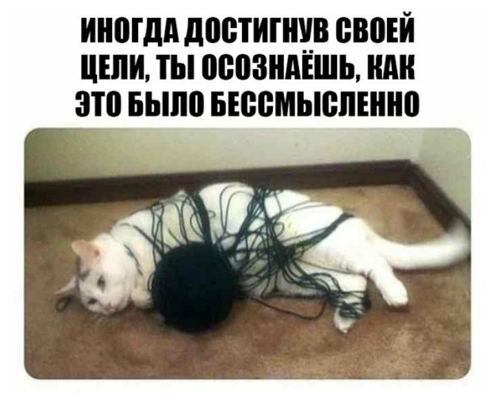 иногда достигнув евоъй цши ты осозндішь или это выпо вюемыспінно